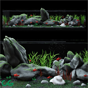 Aquarium